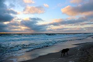 Sylt am Abend